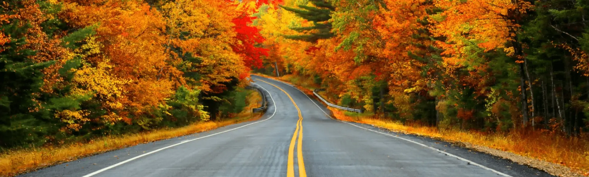 A fall road